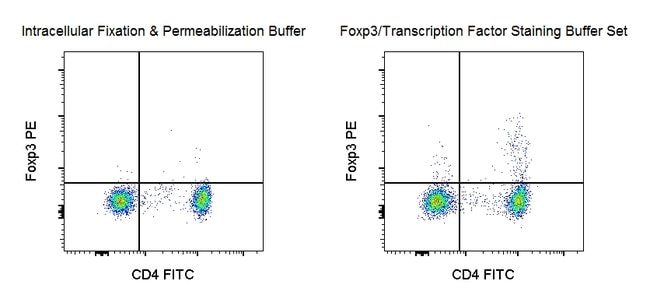 Human Foxp3 detected using Foxp3/Transcription Factor Staining Buffer Set