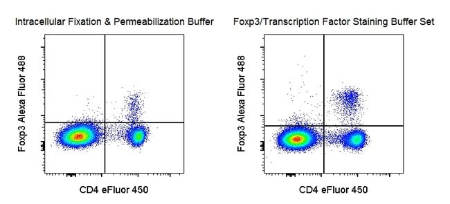 Mouse Foxp3 detected using Foxp3/Transcription Factor Staining Buffer Set