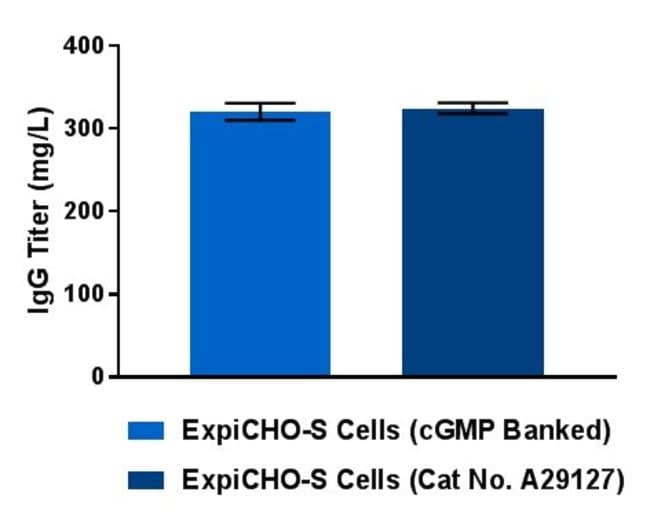 Protein expression using cGMP-banked ExpiCHO-S cells