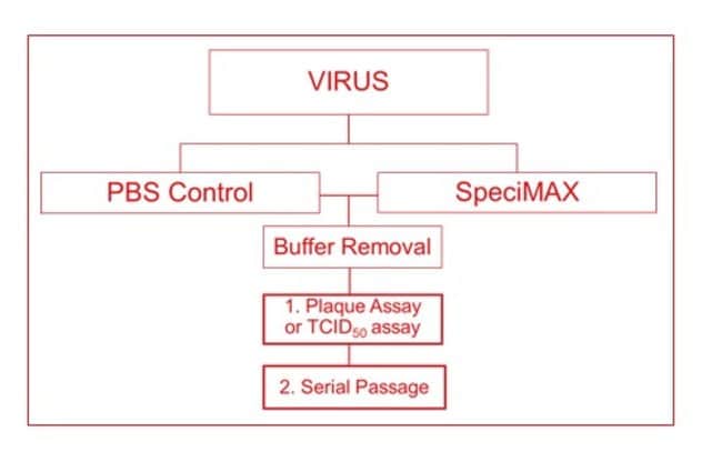 Virus inactivation experimental outline summary