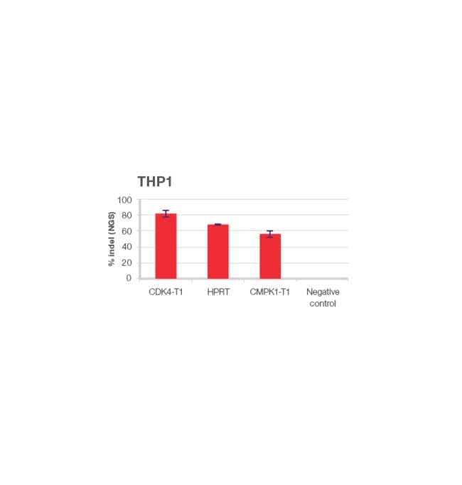 Robust CRISPR gene editing in THP-1 cells