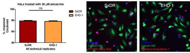 SYTOX Deep Red compared to ethidium homodimer-1
