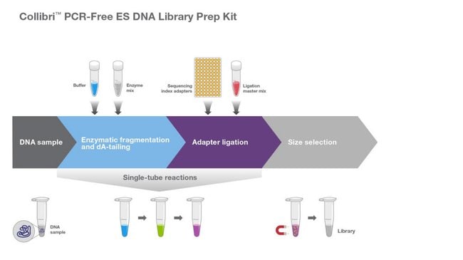 collibri pcr free es dna library prep kit for illumina dna library