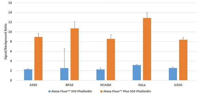 Sensitivity-Graph-AF-Plus-Phalloidin-555s.jpg-650.jpg