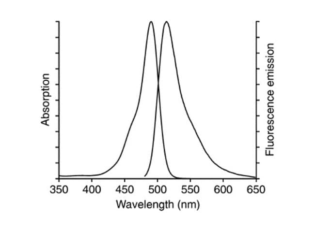 CellEvent Senescent Green probe spectra
