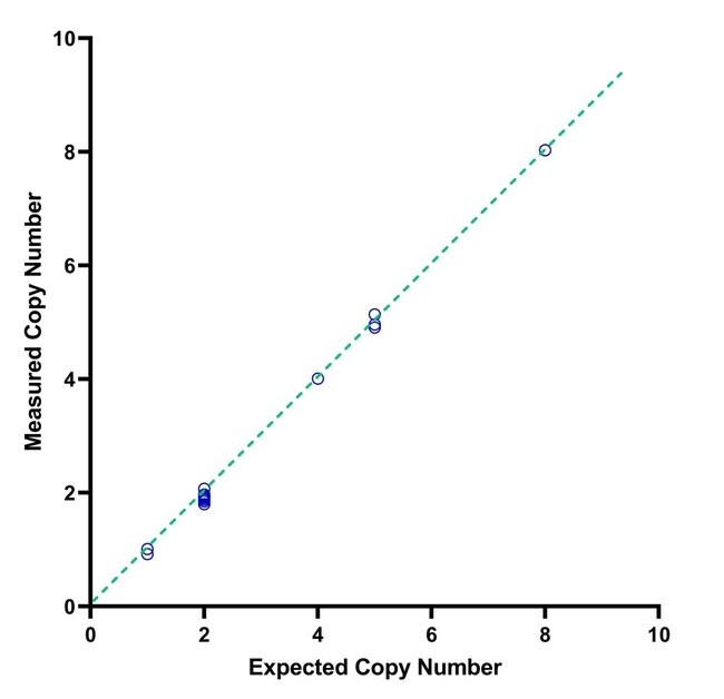 Accurately measure copy number