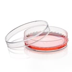 https://www.dev3.thermofisher.com/content/dam/LifeTech/Images/Brands/search/default-brand.jpg