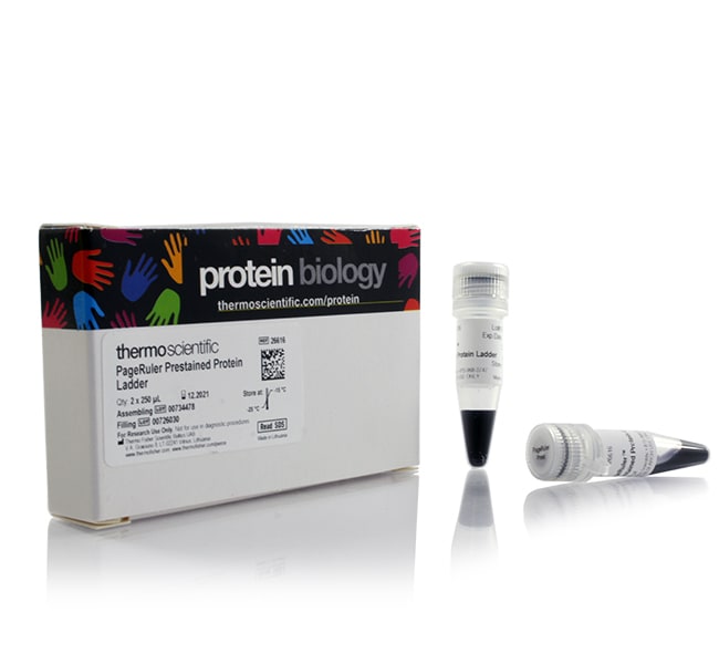 PageRuler™ Prestained Protein Ladder, 10 to 180 kDa