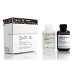 https://www.dev3.thermofisher.com/content/dam/LifeTech/Images/Brands/search/default-brand.jpg