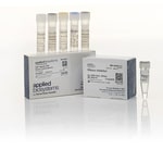 High-Capacity cDNA Reverse Transcription Kit with RNase Inhibitor