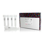 https://www.dev3.thermofisher.com/content/dam/LifeTech/Images/Brands/search/default-brand.jpg