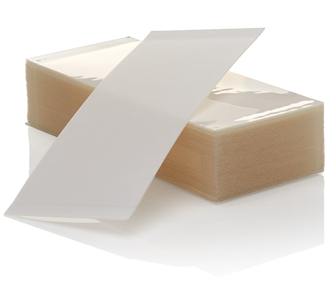 MicroAmp&trade; 32-Well Clear Adhesive Film