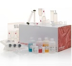 PureLink&trade; Fast Low-Endotoxin Midi Plasmid Purification Kit