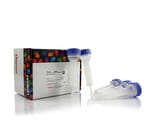 https://www.thermofisher.com/content/dam/LifeTech/Images/Brands/search/default-brand.jpg