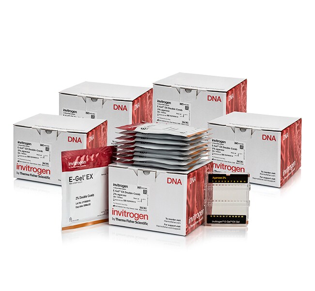 EGel™ EX Double Comb Agarose Gels, 2