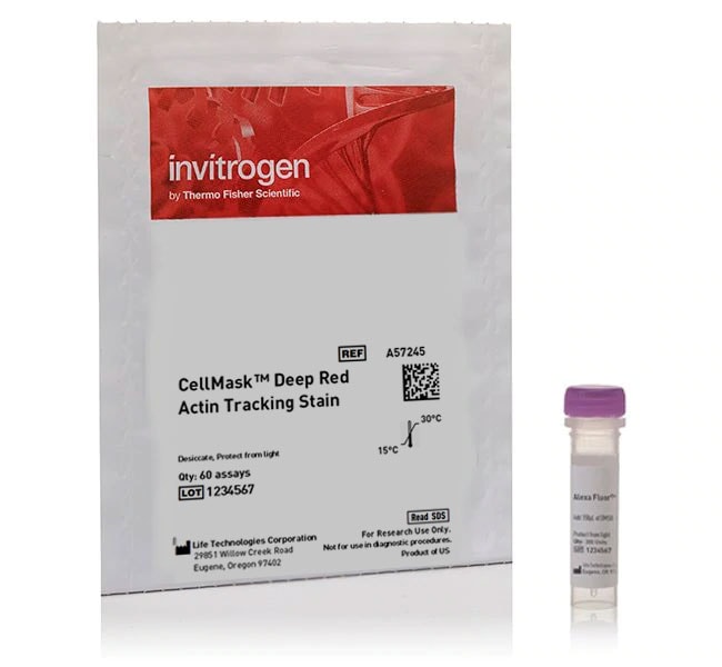 CellMask&trade; Deep Red Actin Tracking Stain