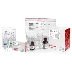 RecoverAll™ Total Nucleic Acid Isolation Kit for FFPE