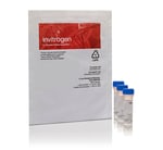https://www.dev3.thermofisher.com/content/dam/LifeTech/Images/Brands/search/default-brand.jpg
