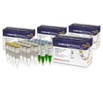 Phusion™ Plus Green PCR Master Mix