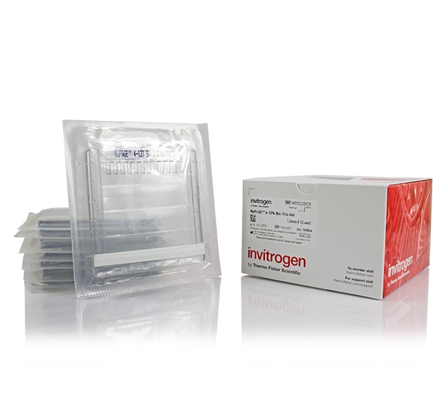 NuPAGE&trade; 4 to 12%, Bis-Tris, 1.0 mm, Mini Protein Gel, 10-well