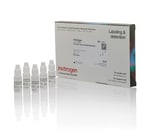 https://www.dev3.thermofisher.com/content/dam/LifeTech/Images/Brands/search/default-brand.jpg