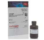 https://www.dev3.thermofisher.com/content/dam/LifeTech/Images/Brands/search/default-brand.jpg