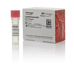 Lipofectamine™ Stem Transfection Reagent