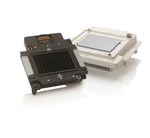 https://www.dev3.thermofisher.com/content/dam/LifeTech/Images/Brands/search/default-brand.jpg