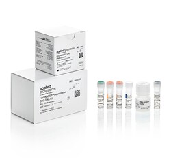 resDNASEQ™ Quantitative CHO DNA Kit