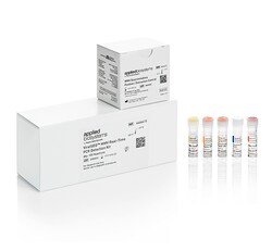 ViralSEQ™ Mouse Minute Virus (MMV) Detection System