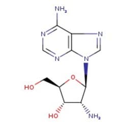 2'-Amino-2'-deoxyadenosine, 98%