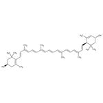 https://www.dev3.thermofisher.com/content/dam/LifeTech/Images/Brands/search/default-brand.jpg