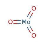 https://www.thermofisher.com/content/dam/LifeTech/Images/Brands/search/default-brand.jpg