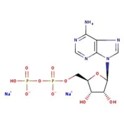Adenosine-5'-diphosphate disodium salt, 96% (dry wt.), water 15% max.