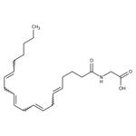 https://www.dev3.thermofisher.com/content/dam/LifeTech/Images/Brands/search/default-brand.jpg