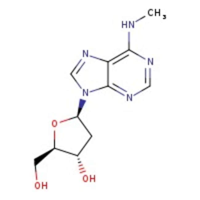 N6-Methyl-2'-deoxyadenosine, 99%