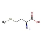 https://www.dev3.thermofisher.com/content/dam/LifeTech/Images/Brands/search/default-brand.jpg