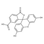 https://www.qa.thermofisher.com/content/dam/LifeTech/Images/Brands/search/default-brand.jpg