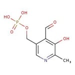 https://www.qa.thermofisher.com/content/dam/LifeTech/Images/Brands/search/default-brand.jpg