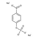 https://www.qa.thermofisher.com/content/dam/LifeTech/Images/Brands/search/default-brand.jpg