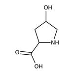 https://www.dev3.thermofisher.com/content/dam/LifeTech/Images/Brands/search/default-brand.jpg