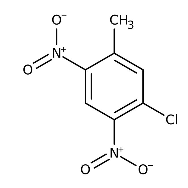 5-chloro-2-4-dinitrotoluene-97-thermo-scientific