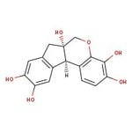 https://www.qa.thermofisher.com/content/dam/LifeTech/Images/Brands/search/default-brand.jpg