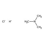 https://www.qa.thermofisher.com/content/dam/LifeTech/Images/Brands/search/default-brand.jpg