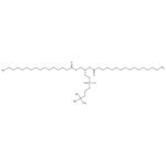 https://www.dev3.thermofisher.com/content/dam/LifeTech/Images/Brands/search/default-brand.jpg