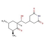 https://www.dev3.thermofisher.com/content/dam/LifeTech/Images/Brands/search/default-brand.jpg