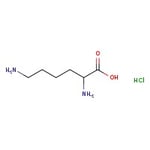 https://www.dev3.thermofisher.com/content/dam/LifeTech/Images/Brands/search/default-brand.jpg
