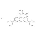 https://www.dev3.thermofisher.com/content/dam/LifeTech/Images/Brands/search/default-brand.jpg