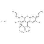 https://www.dev3.thermofisher.com/content/dam/LifeTech/Images/Brands/search/default-brand.jpg
