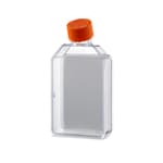 https://www.dev3.thermofisher.com/content/dam/LifeTech/Images/Brands/search/default-brand.jpg